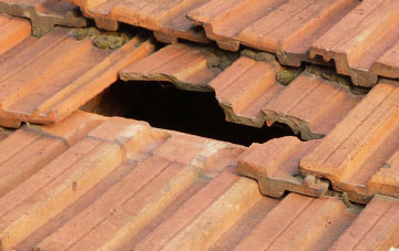 roof repair Hoo Meavy, Devon