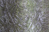 Hoo Meavy fibreglass roof work